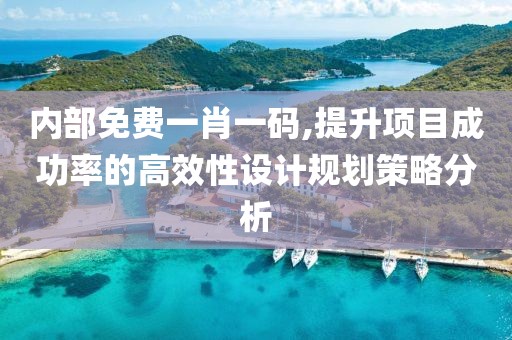 内部免费一肖一码,提升项目成功率的高效性设计规划策略分析