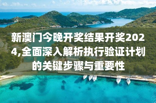 新澳门今晚开奖结果开奖2024,全面深入解析执行验证计划的关键步骤与重要性