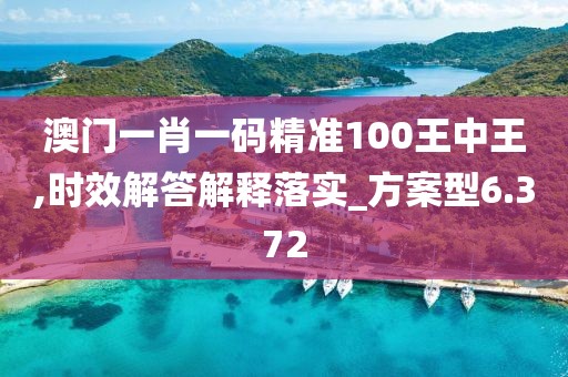 澳门一肖一码精准100王中王,时效解答解释落实_方案型6.372