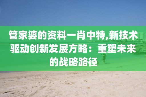 管家婆的资料一肖中特,新技术驱动创新发展方略：重塑未来的战略路径