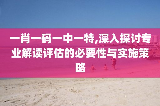 一肖一码一中一特,深入探讨专业解读评估的必要性与实施策略