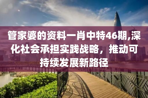 管家婆的资料一肖中特46期,深化社会承担实践战略，推动可持续发展新路径