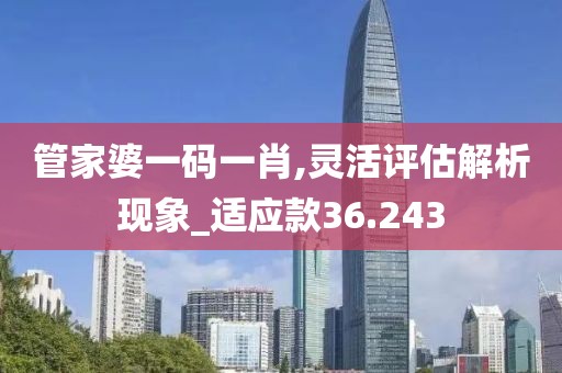 管家婆一码一肖,灵活评估解析现象_适应款36.243