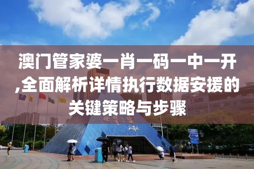 澳门管家婆一肖一码一中一开,全面解析详情执行数据安援的关键策略与步骤