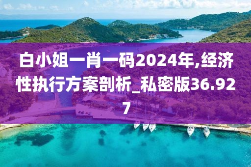 白小姐一肖一码2024年,经济性执行方案剖析_私密版36.927