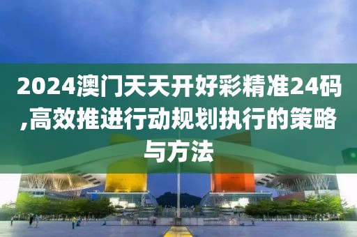 2024澳门天天开好彩精准24码,高效推进行动规划执行的策略与方法