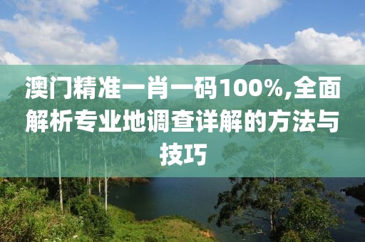 澳门精准一肖一码100%,全面解析专业地调查详解的方法与技巧