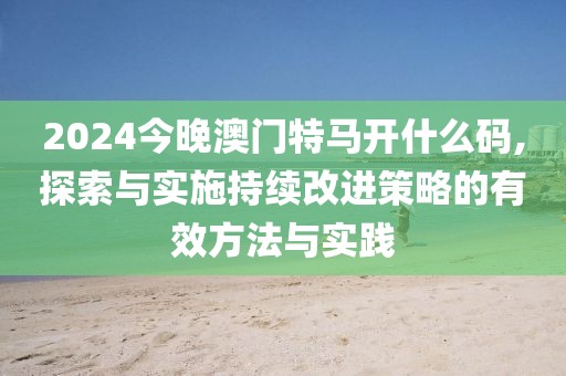 2024今晚澳门特马开什么码,探索与实施持续改进策略的有效方法与实践