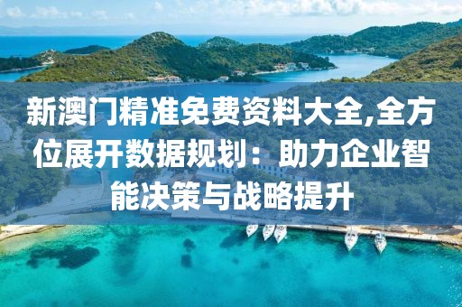 新澳门精准免费资料大全,全方位展开数据规划：助力企业智能决策与战略提升