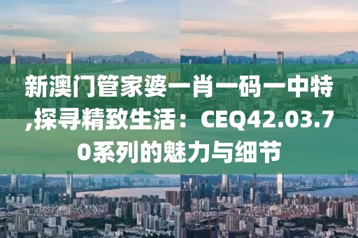 新澳门管家婆一肖一码一中特,探寻精致生活：CEQ42.03.70系列的魅力与细节
