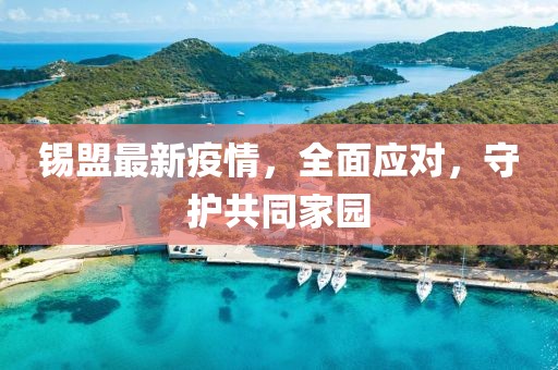 锡盟最新疫情，全面应对，守护共同家园