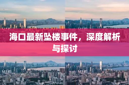 海口最新坠楼事件，深度解析与探讨