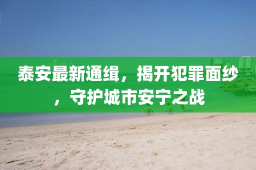 泰安最新通缉，揭开犯罪面纱，守护城市安宁之战