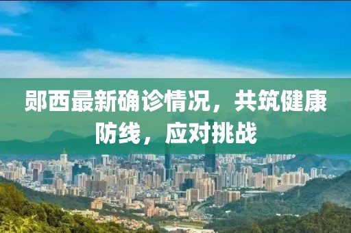 郧西最新确诊情况，共筑健康防线，应对挑战