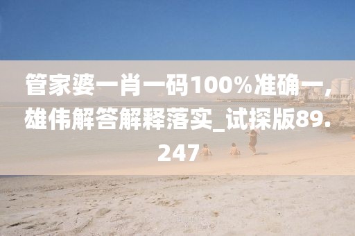 管家婆一肖一码100%准确一,雄伟解答解释落实_试探版89.247
