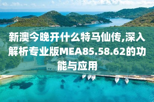 新澳今晚开什么特马仙传,深入解析专业版MEA85.58.62的功能与应用