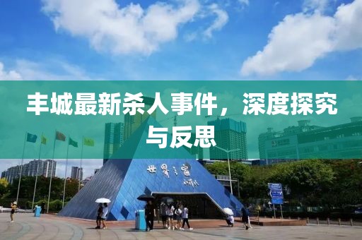 丰城最新杀人事件，深度探究与反思
