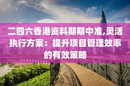 二四六香港资料期期中准,灵活执行方案：提升项目管理效率的有效策略