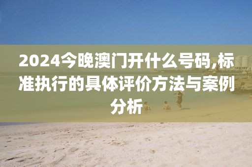 2024今晚澳门开什么号码,标准执行的具体评价方法与案例分析