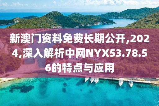 新澳门资料免费长期公开,2024,深入解析中网NYX53.78.56的特点与应用