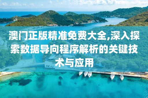 澳门正版精准免费大全,深入探索数据导向程序解析的关键技术与应用