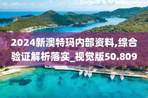2024新澳特玛内部资料,综合验证解析落实_视觉版50.809