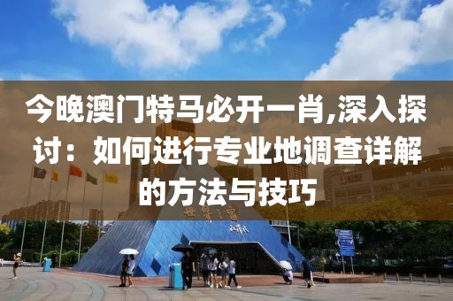 今晚澳门特马必开一肖,深入探讨：如何进行专业地调查详解的方法与技巧