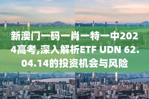 新澳门一码一肖一特一中2024高考,深入解析ETF UDN 62.04.14的投资机会与风险