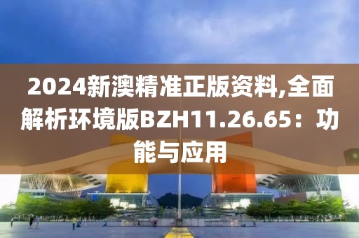 2024新澳精准正版资料,全面解析环境版BZH11.26.65：功能与应用