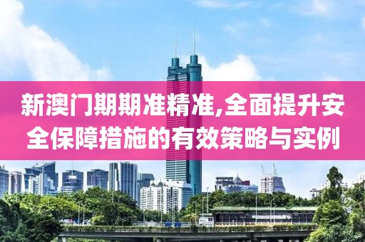 新澳门期期准精准,全面提升安全保障措施的有效策略与实例