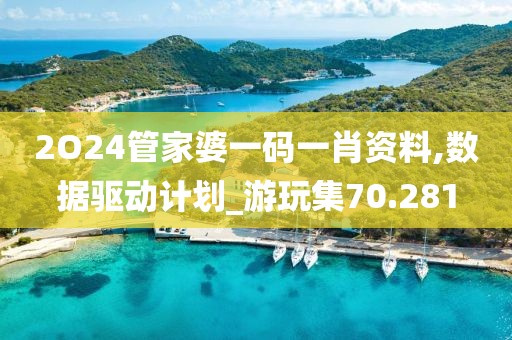2O24管家婆一码一肖资料,数据驱动计划_游玩集70.281
