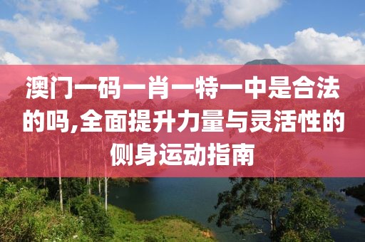 澳门一码一肖一特一中是合法的吗,全面提升力量与灵活性的侧身运动指南