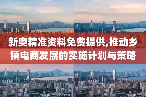 新奥精准资料免费提供,推动乡镇电商发展的实施计划与策略