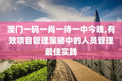 澳门一码一肖一待一中今晚,有效项目管理策略中的人员管理最佳实践