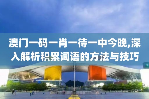 澳门一码一肖一待一中今晚,深入解析积累词语的方法与技巧