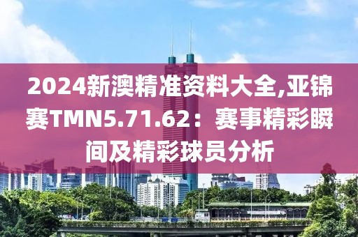 2024新澳精准资料大全,亚锦赛TMN5.71.62：赛事精彩瞬间及精彩球员分析