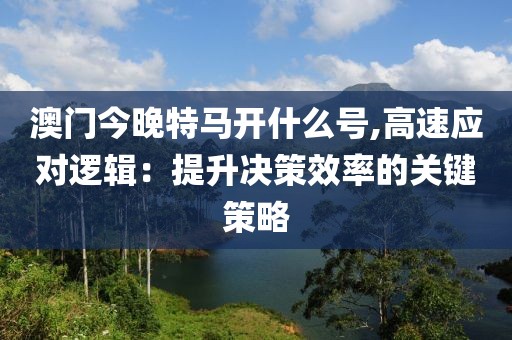 澳门今晚特马开什么号,高速应对逻辑：提升决策效率的关键策略