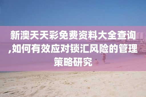 新澳天天彩免费资料大全查询,如何有效应对锁汇风险的管理策略研究