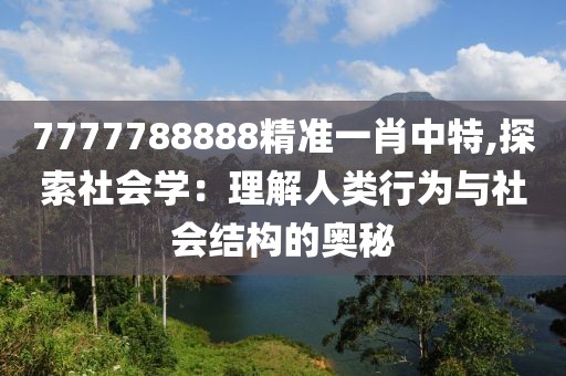 7777788888精准一肖中特,探索社会学：理解人类行为与社会结构的奥秘