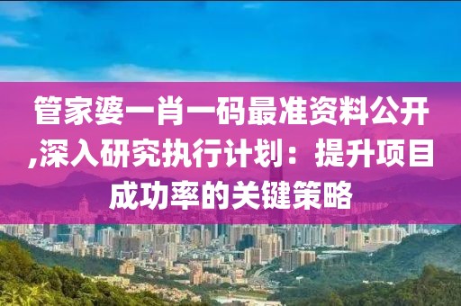 管家婆一肖一码最准资料公开,深入研究执行计划：提升项目成功率的关键策略