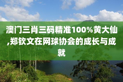 澳门三肖三码精准100%黄大仙,郑钦文在网球协会的成长与成就