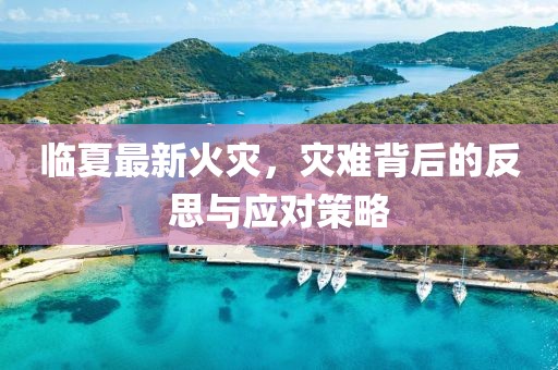 临夏最新火灾，灾难背后的反思与应对策略