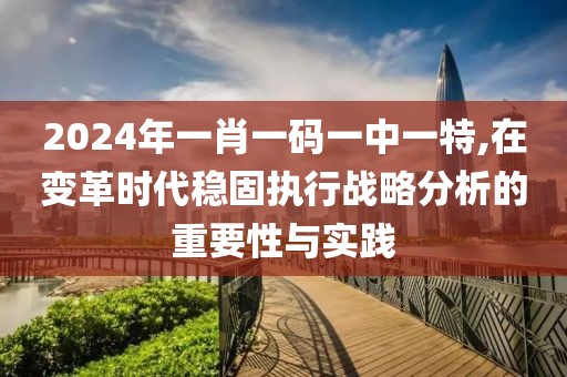 2024年一肖一码一中一特,在变革时代稳固执行战略分析的重要性与实践