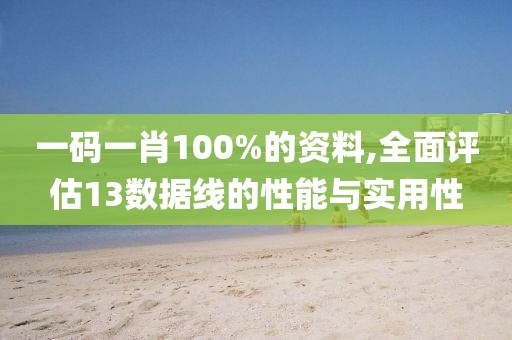 一码一肖100%的资料,全面评估13数据线的性能与实用性