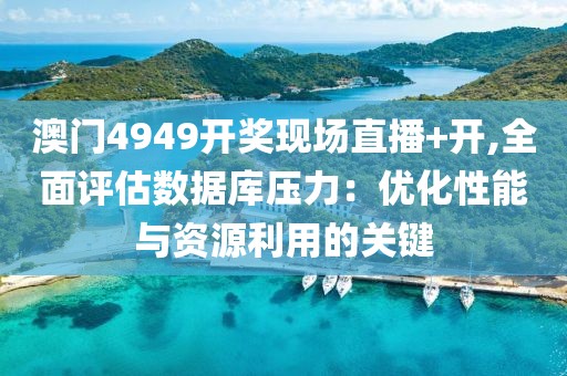 澳门4949开奖现场直播+开,全面评估数据库压力：优化性能与资源利用的关键