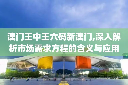 澳门王中王六码新澳门,深入解析市场需求方程的含义与应用