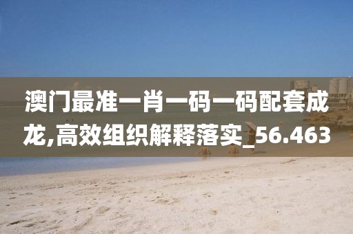 澳门最准一肖一码一码配套成龙,高效组织解释落实_56.463