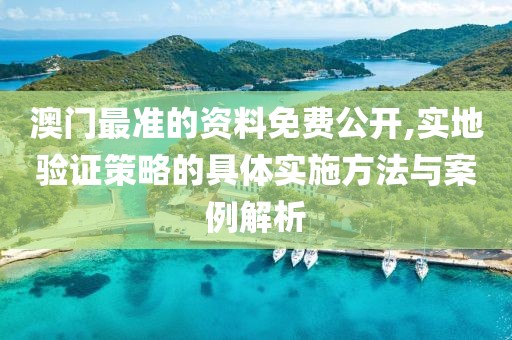 澳门最准的资料免费公开,实地验证策略的具体实施方法与案例解析