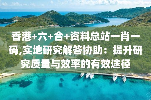 香港+六+合+资料总站一肖一码,实地研究解答协助：提升研究质量与效率的有效途径