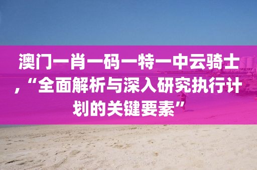 澳门一肖一码一特一中云骑士,“全面解析与深入研究执行计划的关键要素”